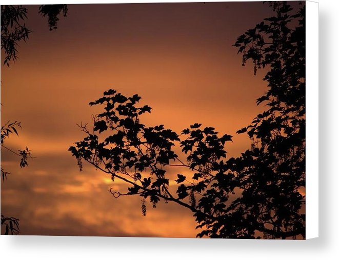 Sky On Fire - Canvas Print