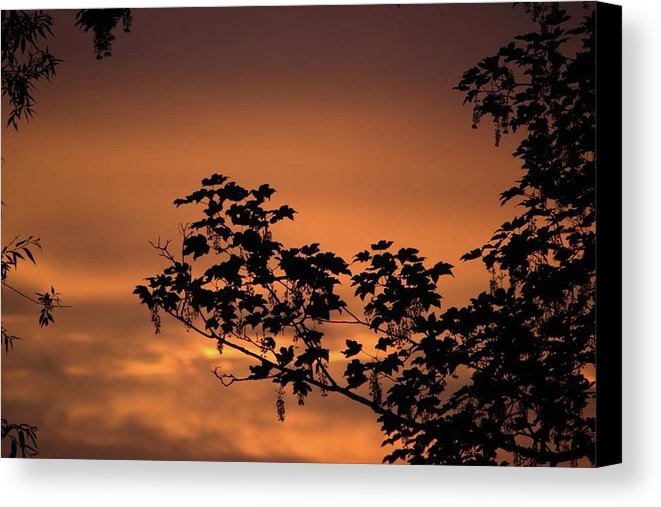 Sky On Fire - Canvas Print