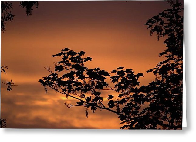 Sky On Fire - Greeting Card