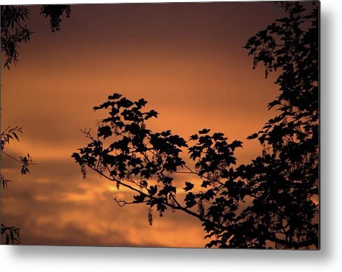 Sky On Fire - Metal Print