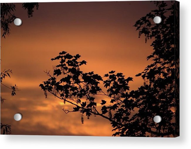 Sky On Fire - Acrylic Print