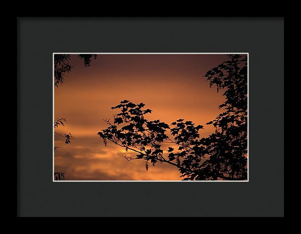 Sky On Fire - Framed Print