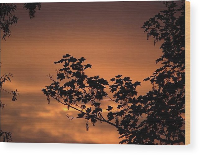 Sky On Fire - Wood Print