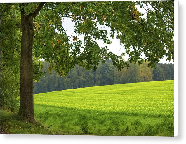 Splendid View In Autumn - Canvas Print