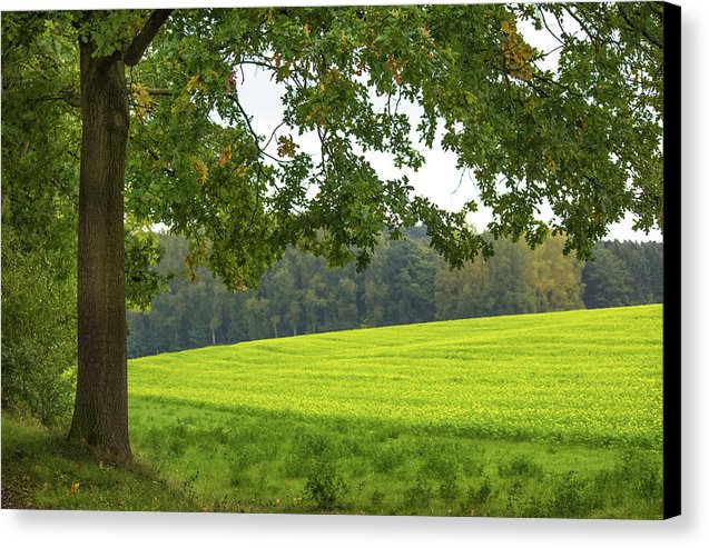 Splendid View In Autumn - Canvas Print