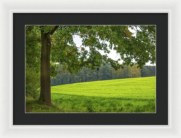 Splendid View In Autumn - Framed Print