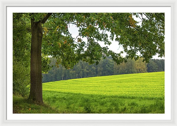 Splendid View In Autumn - Framed Print