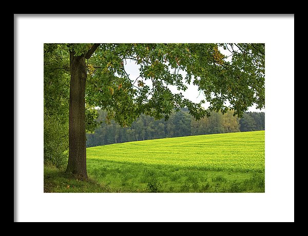 Splendid View In Autumn - Framed Print