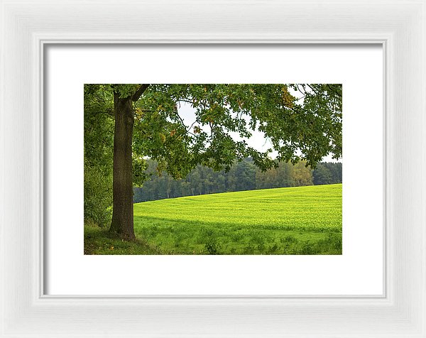 Splendid View In Autumn - Framed Print