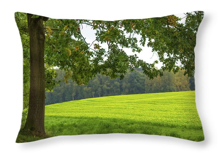 Splendid View In Autumn - Throw Pillow