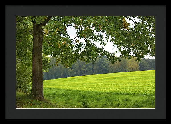 Splendid View In Autumn - Framed Print