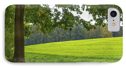 Splendid View In Autumn - Phone Case