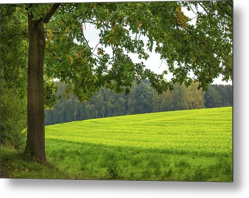 Splendid View In Autumn - Metal Print