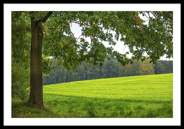 Splendid View In Autumn - Framed Print