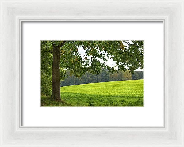 Splendid View In Autumn - Framed Print