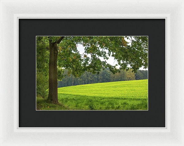 Splendid View In Autumn - Framed Print