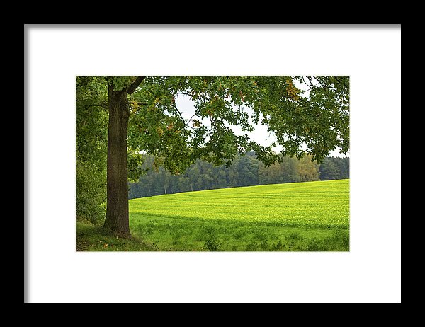 Splendid View In Autumn - Framed Print