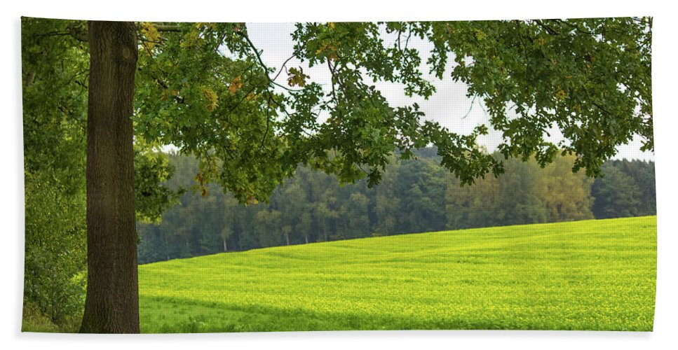 Splendid View In Autumn - Bath Towel