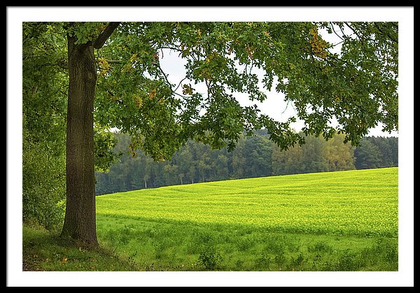 Splendid View In Autumn - Framed Print