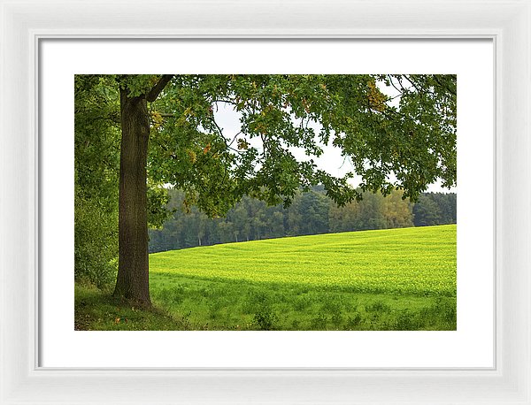 Splendid View In Autumn - Framed Print