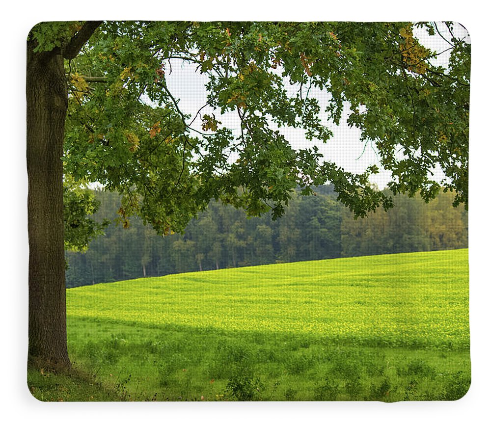 Splendid View In Autumn - Blanket