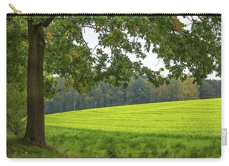 Splendid View In Autumn - Carry-All Pouch