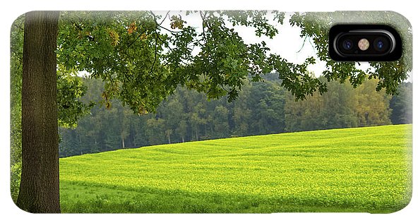 Splendid View In Autumn - Phone Case