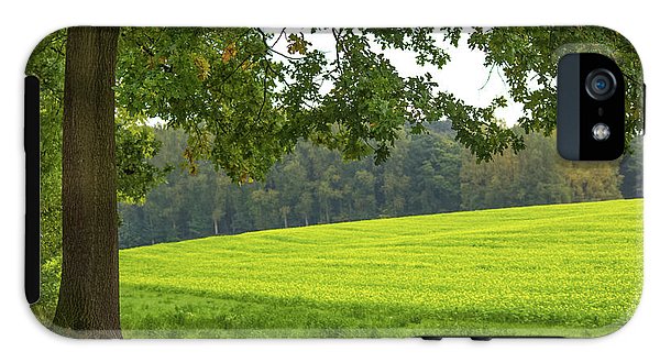 Splendid View In Autumn - Phone Case