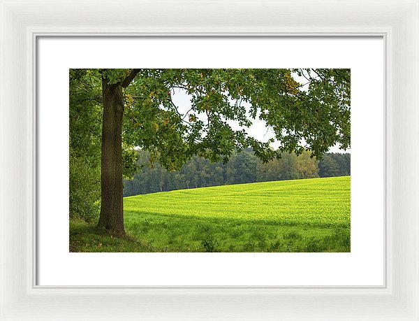 Splendid View In Autumn - Framed Print