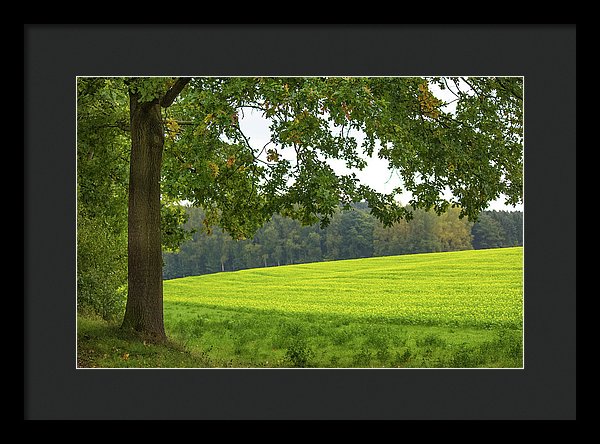 Splendid View In Autumn - Framed Print