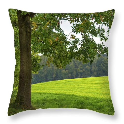 Splendid View In Autumn - Throw Pillow