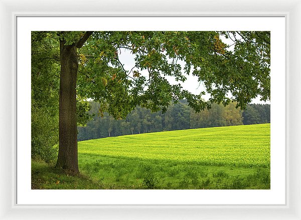 Splendid View In Autumn - Framed Print