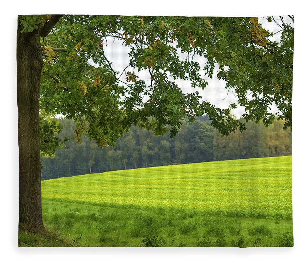 Splendid View In Autumn - Blanket