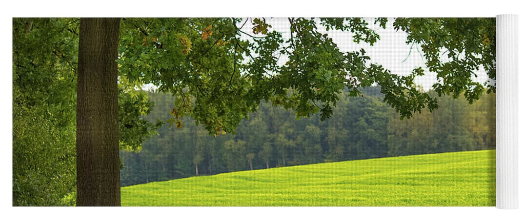 Splendid View In Autumn - Yoga Mat