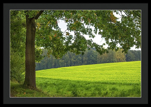 Splendid View In Autumn - Framed Print