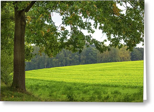 Splendid View In Autumn - Greeting Card
