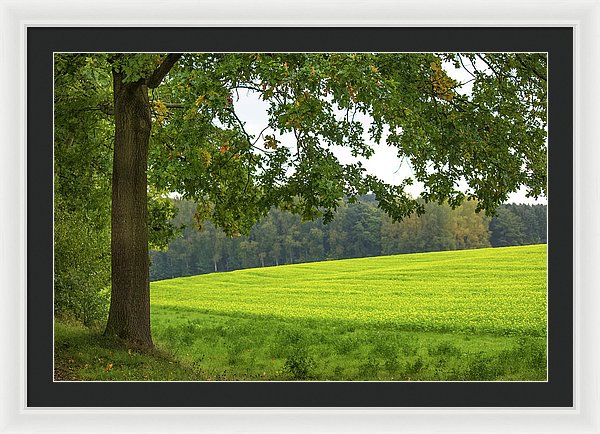 Splendid View In Autumn - Framed Print