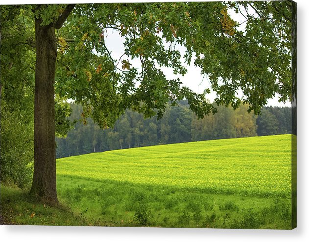 Splendid View In Autumn - Acrylic Print