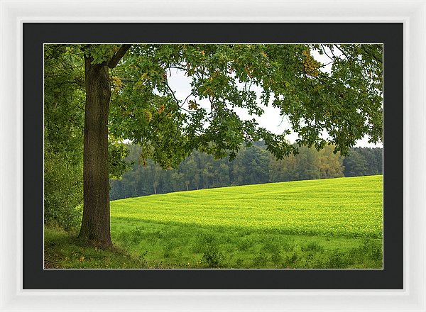 Splendid View In Autumn - Framed Print