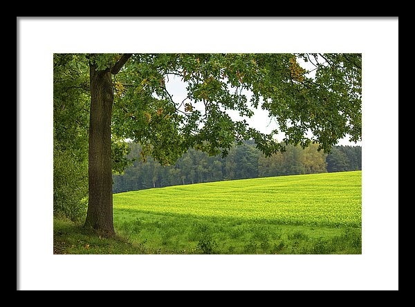 Splendid View In Autumn - Framed Print