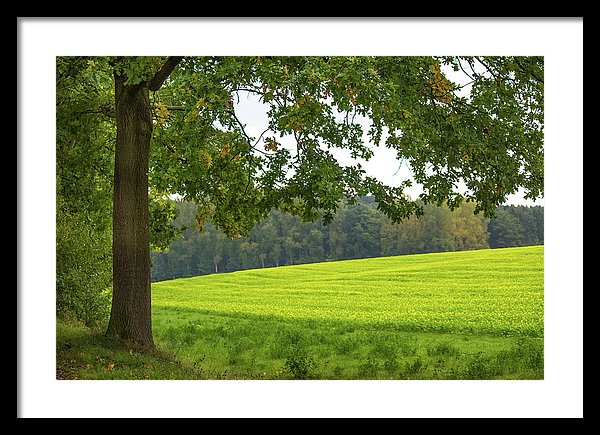 Splendid View In Autumn - Framed Print