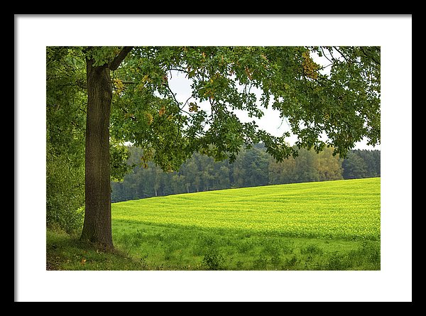 Splendid View In Autumn - Framed Print