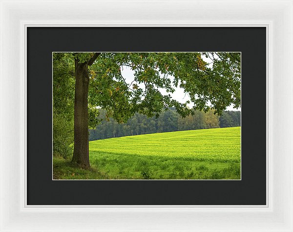 Splendid View In Autumn - Framed Print