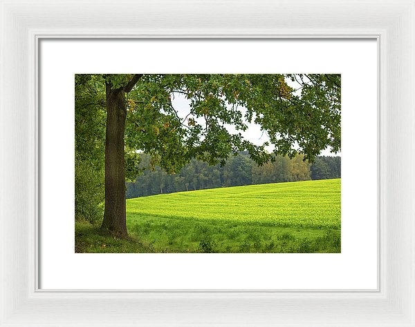 Splendid View In Autumn - Framed Print