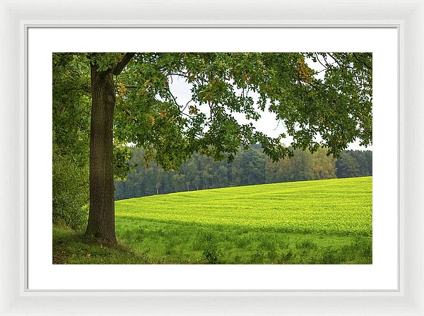 Splendid View In Autumn - Framed Print