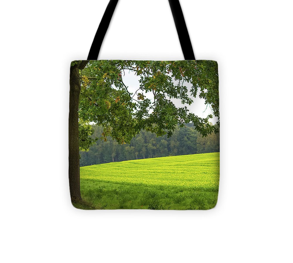 Splendid View In Autumn - Tote Bag