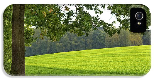 Splendid View In Autumn - Phone Case