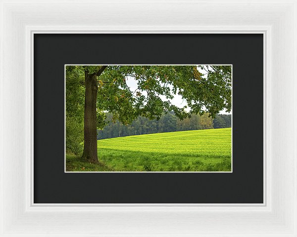 Splendid View In Autumn - Framed Print