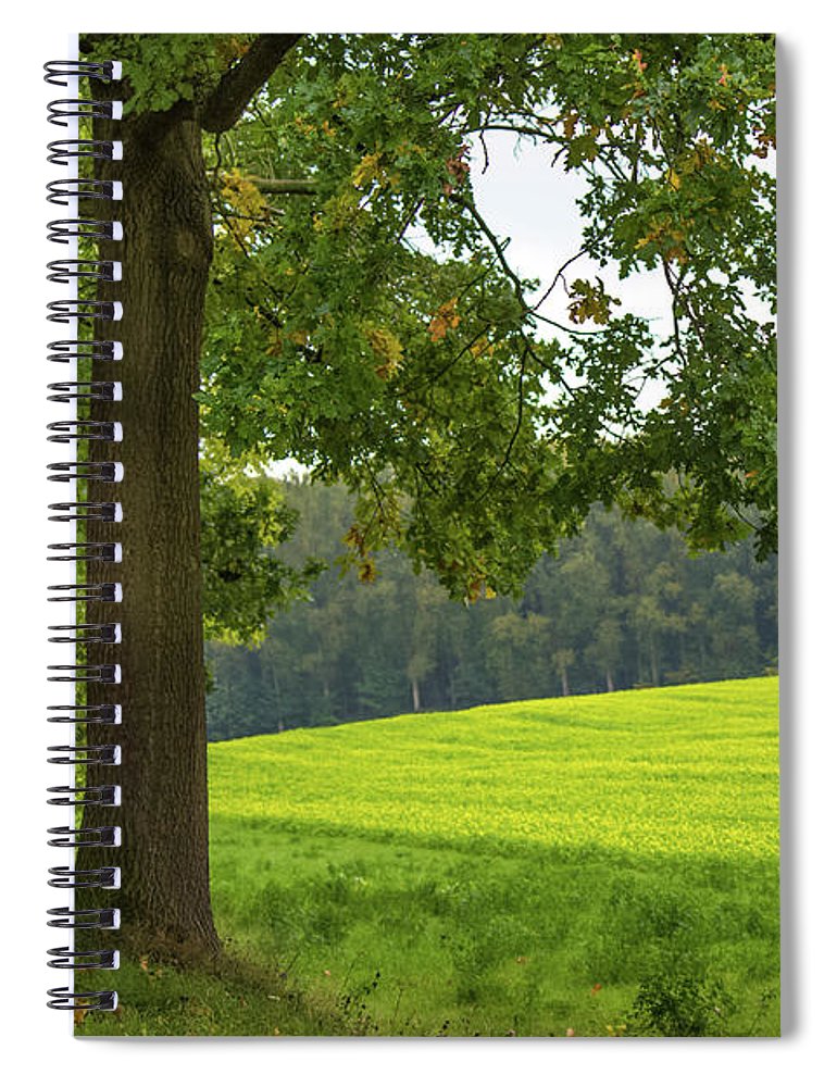 Splendid View In Autumn - Spiral Notebook