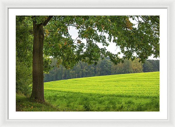 Splendid View In Autumn - Framed Print